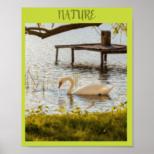 Affiche Canard à l'aquarelle vintage dans la toile d'art d