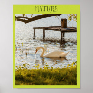 Affiche Canard à l'aquarelle vintage dans la toile d'art d