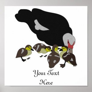 Affiche Canard à moelle et canard adorable
