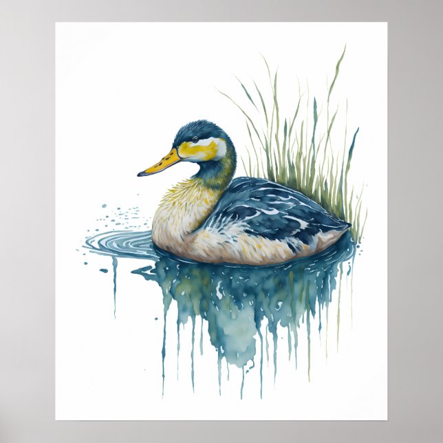 Affiche canard d'aquarelle (Devant)