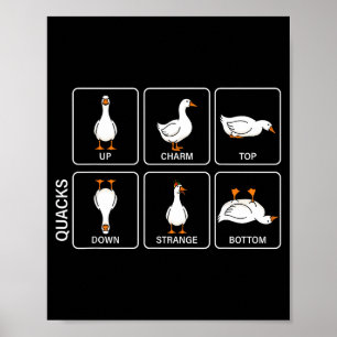 Affiche Canard de blague de physique drôle mème de coin-co