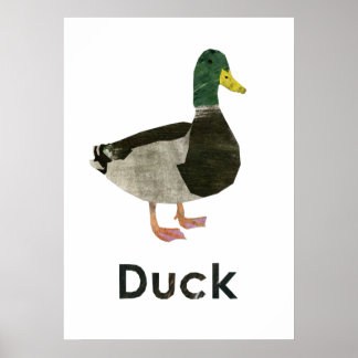 Affiche Canard Fr
