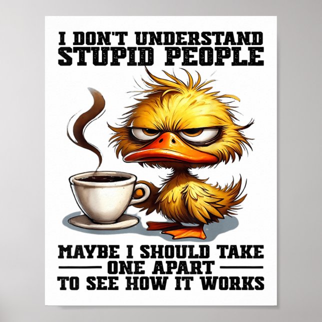 Affiche Canard Je Ne Comprends Pas Les Gens Stupides Peut- (Devant)