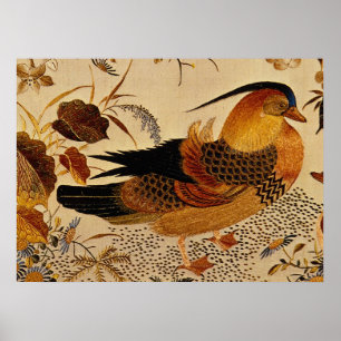 Affiche Canard mandarin