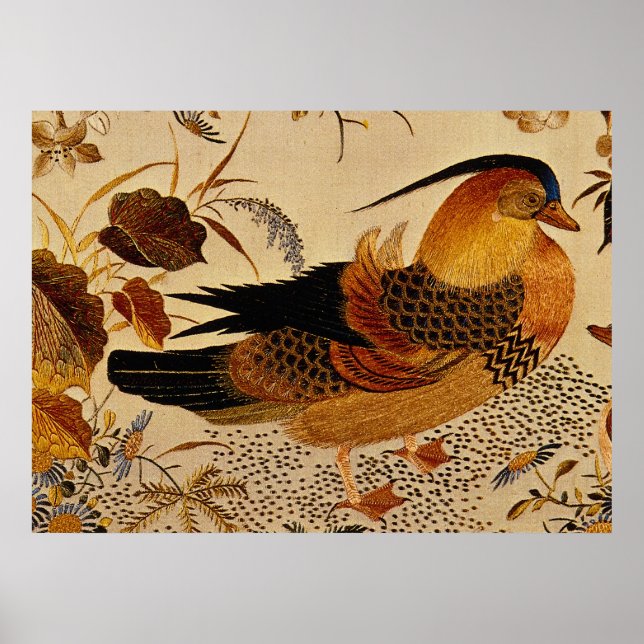 Affiche Canard mandarin (Devant)