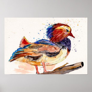 Affiche Canard Mandarin Aquarelle