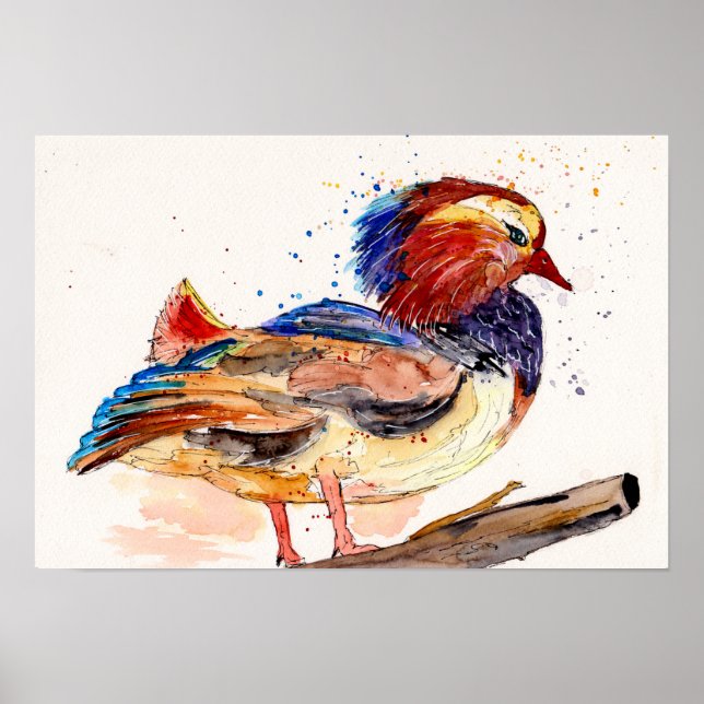 Affiche Canard Mandarin Aquarelle (Devant)