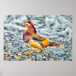 Affiche Canard mandarin coloré au lac