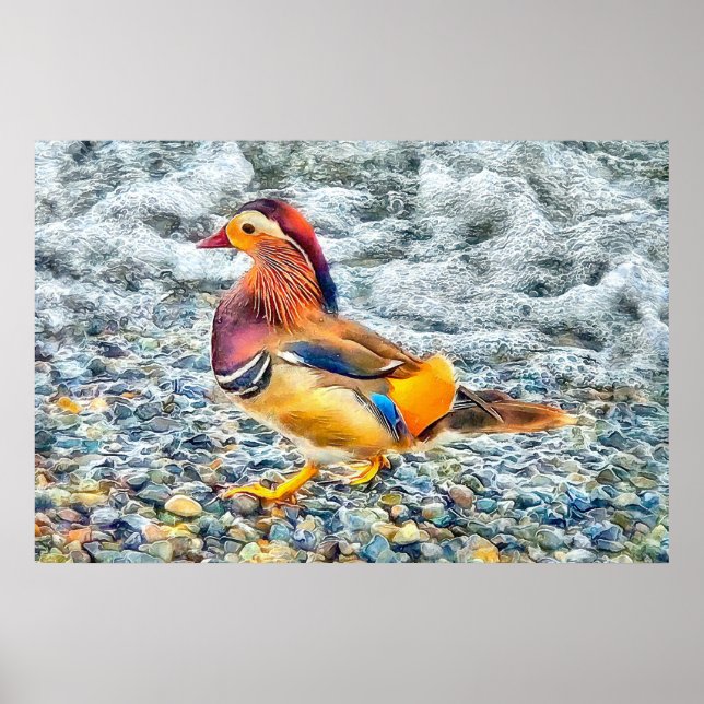 Affiche Canard mandarin coloré au lac (Devant)