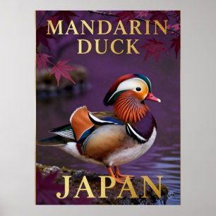 Affiche 🦆 Canard mandarin Japon Oiseau exotique