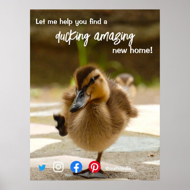 Affiche canard merveilleux agent immobilier fantastique ma (Devant)