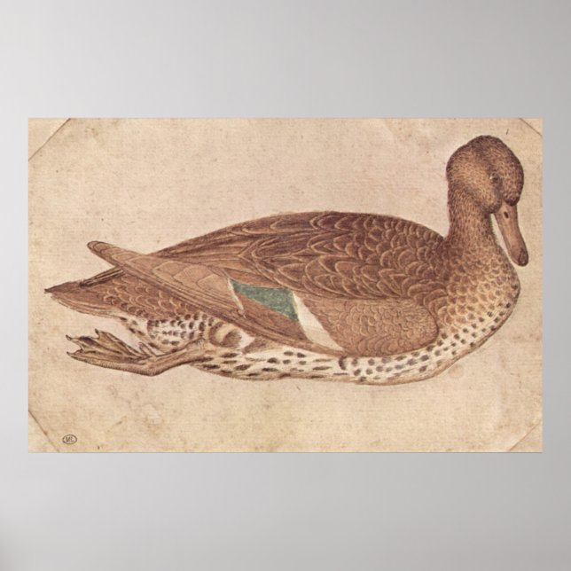 Affiche Canard - Pisanello - c1440 (Devant)