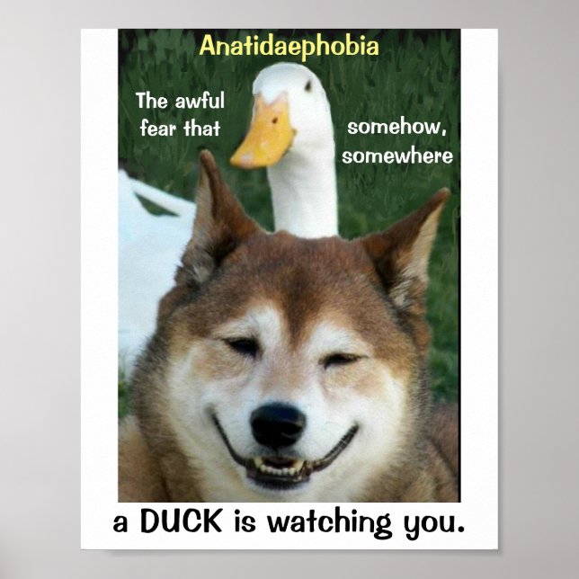 Affiche Canard Shiba Inu Chien Anatidaephobia Photo Doge A (Devant)