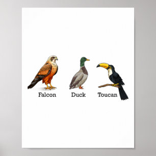 Affiche Canard toucan faucon oiseaux subtil anti Trump