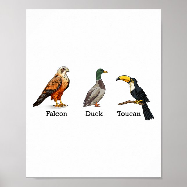 Affiche Canard toucan faucon oiseaux subtil anti Trump  (Devant)