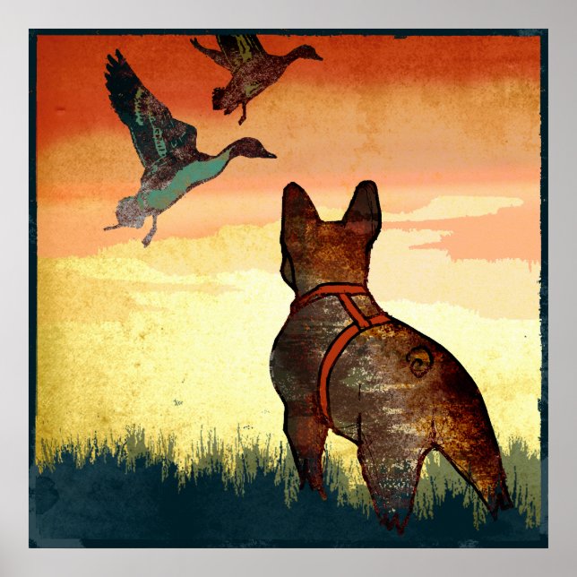 Affiche Canards (Devant)