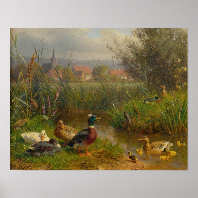 Affiche Canards (Devant)