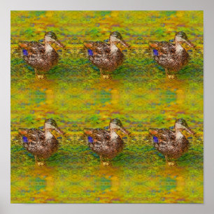 Affiche Canards Abstraits Dans Une Ligne Couleur Photo Cro