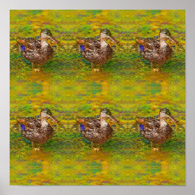 Affiche Canards Abstraits Dans Une Ligne Couleur Photo Cro (Devant)