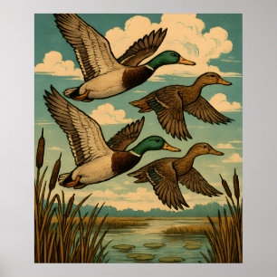 Affiche Canards colverts en vol, art faunique