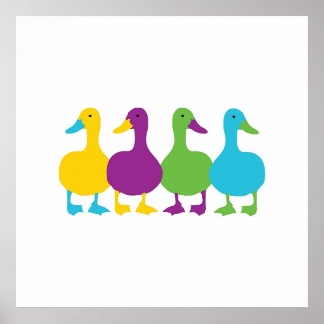Affiche Canards de couleur rétro (Devant)
