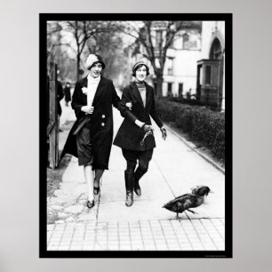 Affiche Canards de marche à Washington, dc 1926