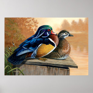 Affiche Canards En Bois Sur La Peinture De La Boîte De Nid