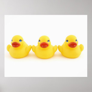 Affiche Canards en caoutchouc jaunes