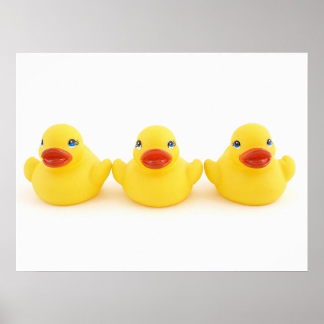 Affiche Canards en caoutchouc jaunes (Devant)
