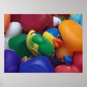 Affiche Canards Ken Gage Photographie