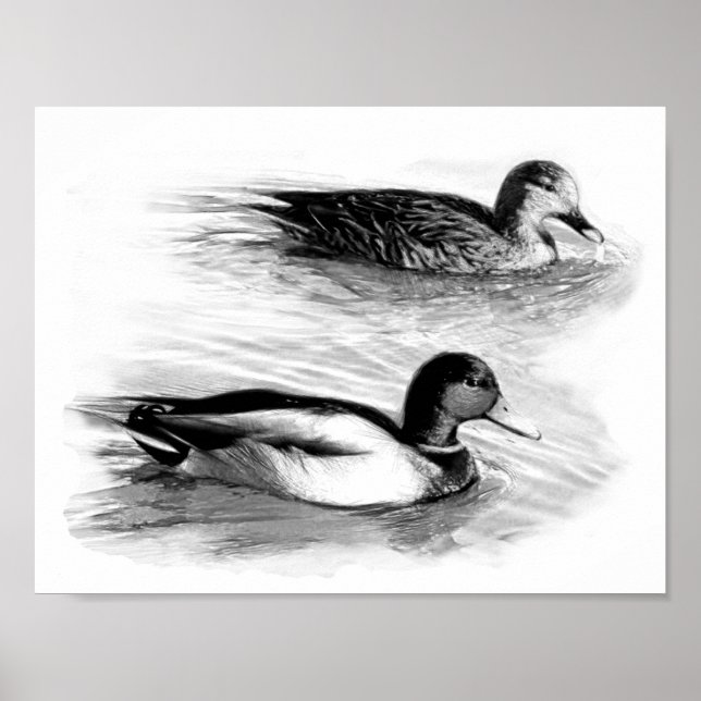 Affiche Canards sur le lac (Devant)