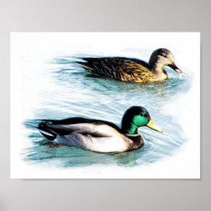 Affiche Canards sur le lac