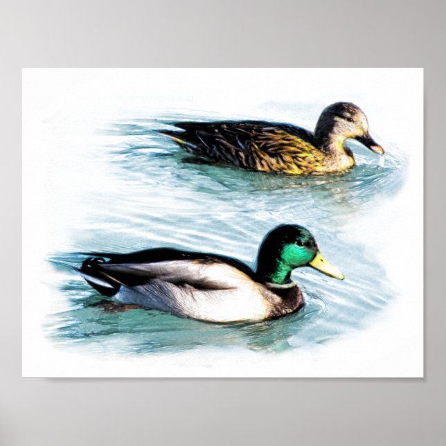 Affiche Canards sur le lac (Devant)