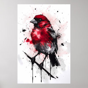 Affiche Canari à facteur rouge