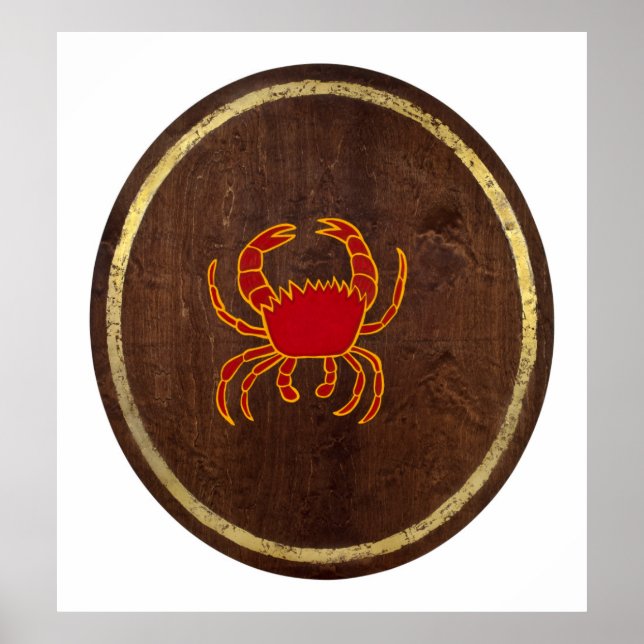 Affiche Cancer 2009 (Devant)