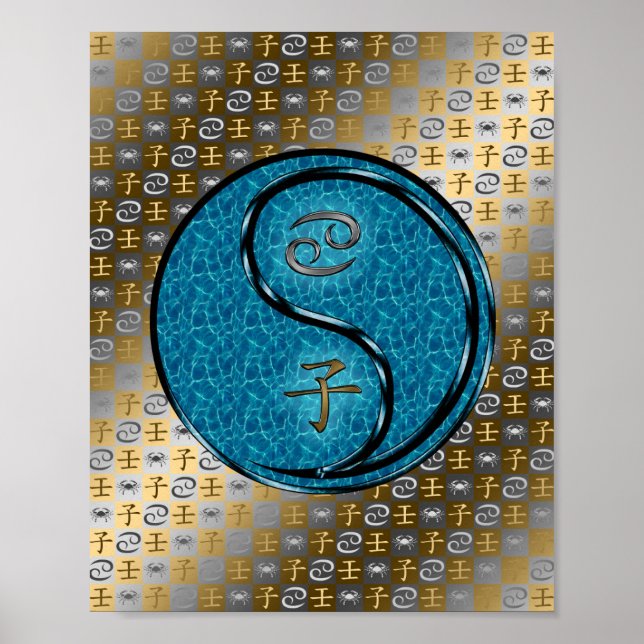 Affiche Cancer et rat d'eau (Devant)