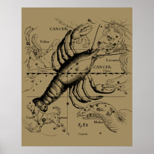 Affiche Cancer Zodiac Constellation par Hevelius 1690