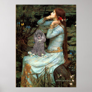 Affiche Caniche (Argent 8) - Ophélie assise