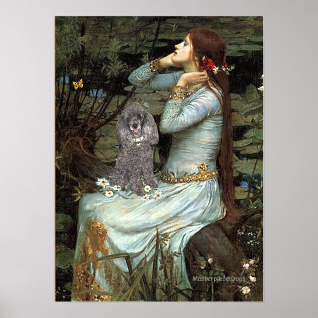 Affiche Caniche (Argent 8) - Ophélie assise (Devant)