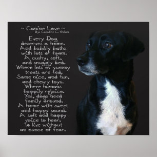 Affiche Canine Love
