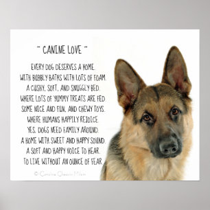 Affiche Canine Love