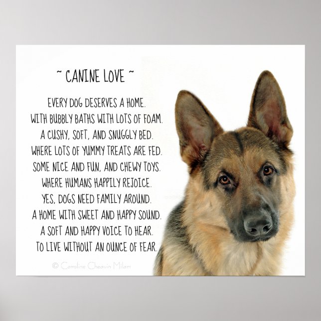 Affiche Canine Love (Devant)