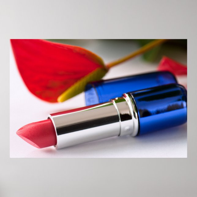 Affiche Canne à lèvres (Devant)