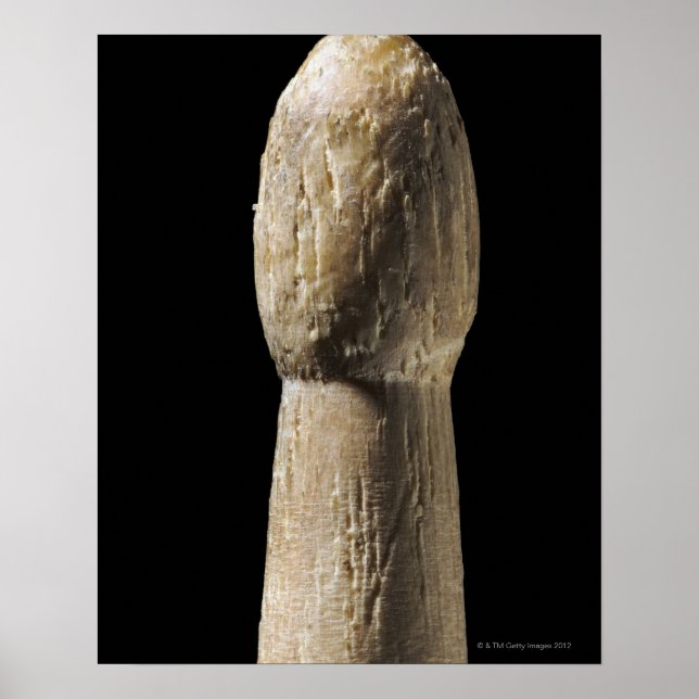 Affiche Canne à tambour en bois utilisé (Devant)