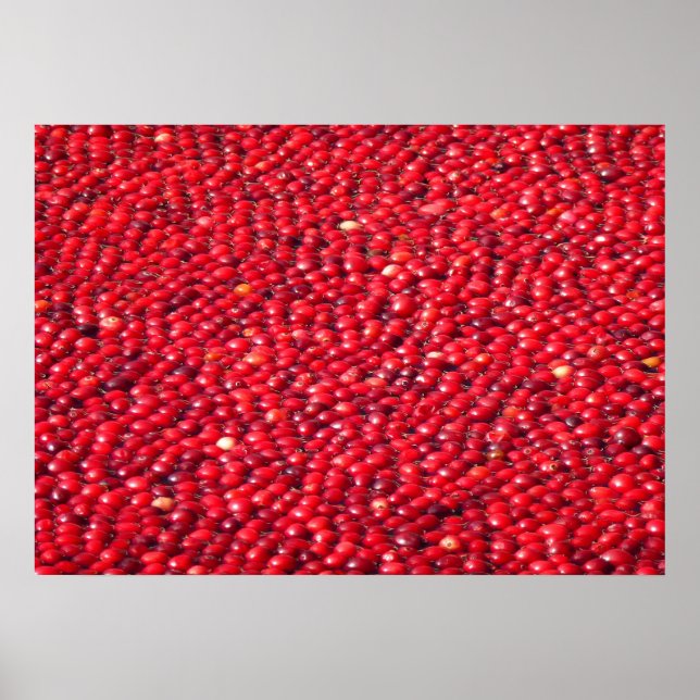 Affiche Canneberges Férié Rouge (Devant)