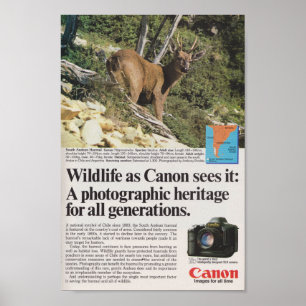 Affiche Canon caméra 1980s publicité rétro antique