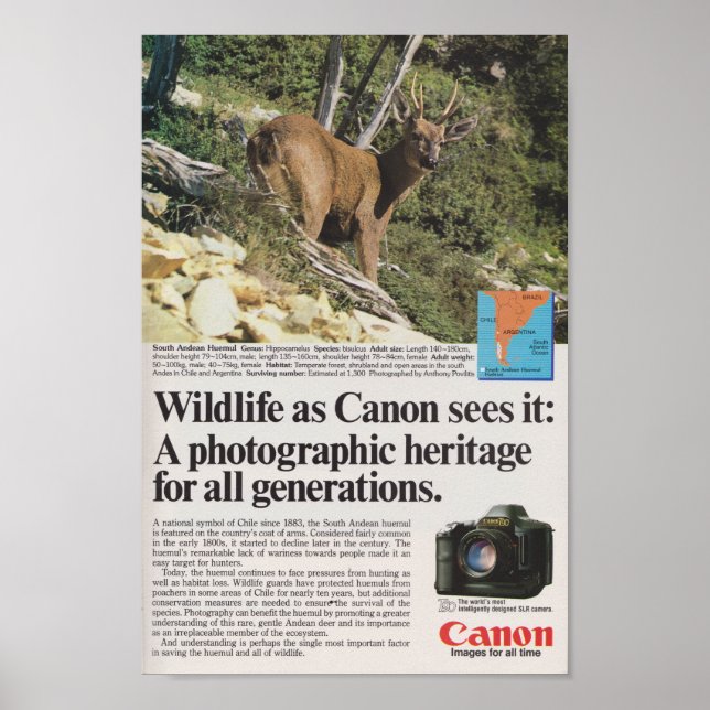Affiche Canon caméra 1980s publicité rétro antique (Devant)