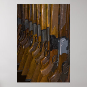 Affiche canons de chasse
