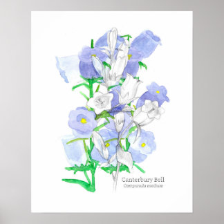 Affiche Canterbury Bells Langue des fleurs Victorienne