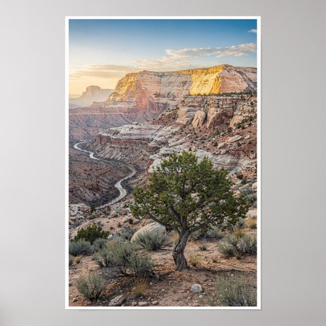 Affiche Canyon de grès ensoleillé et désert de gen (Devant)